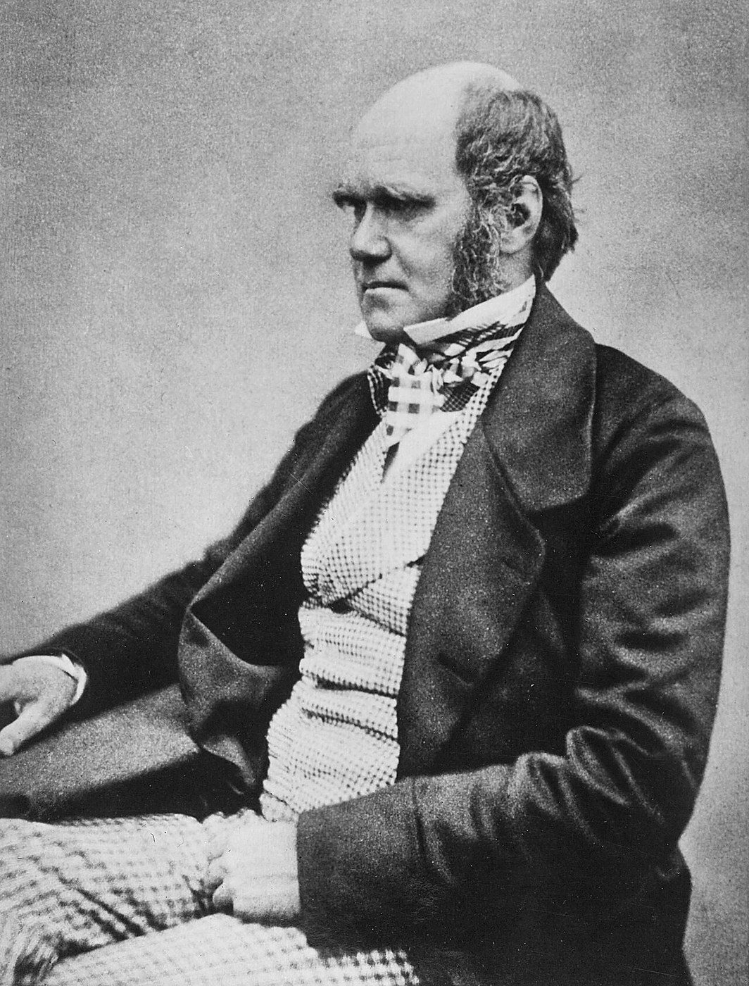 Darwin Makes the Case That Animals Feel