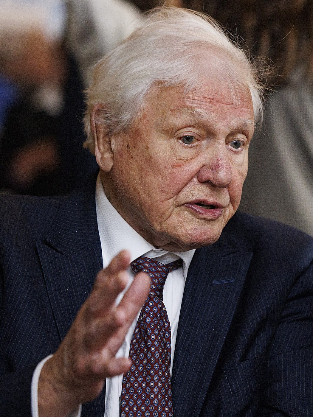 David Attenborough Is Born