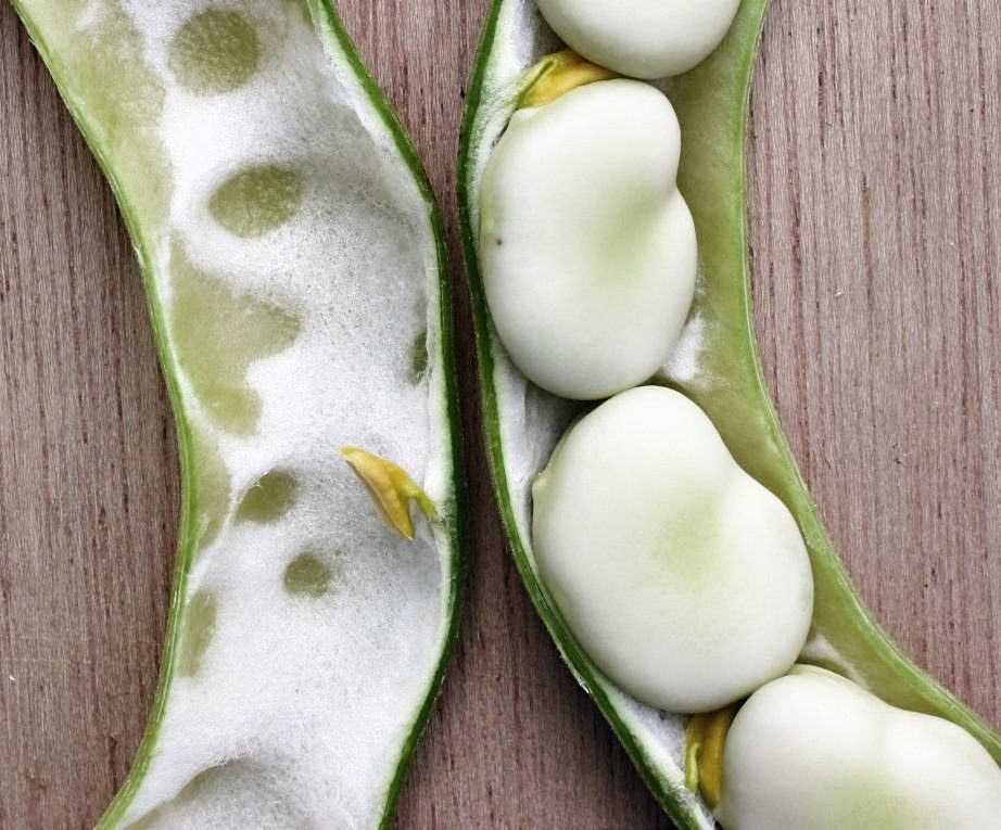 Döhler acquires Nukoko, betting on fava-bean chocolate at commercial scale