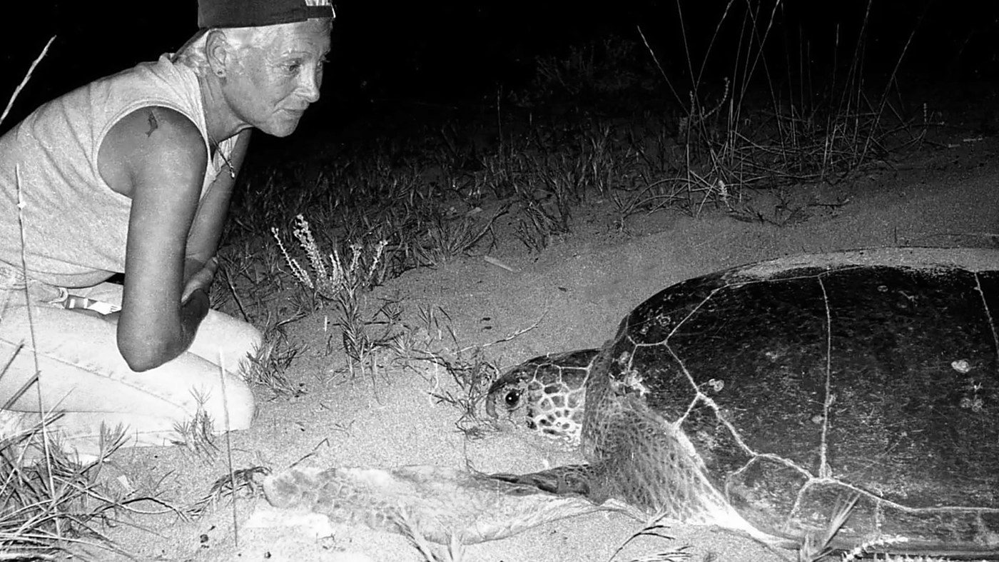 Mona Khalil and the sea turtle nests of Mansouri Beach