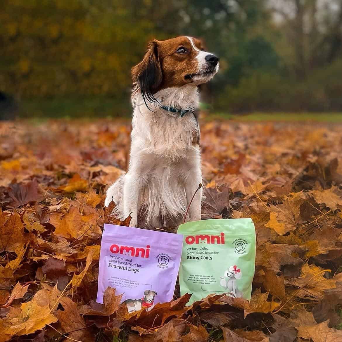 Omni Pet Raises £11M to Take Vegan Dog Food Global