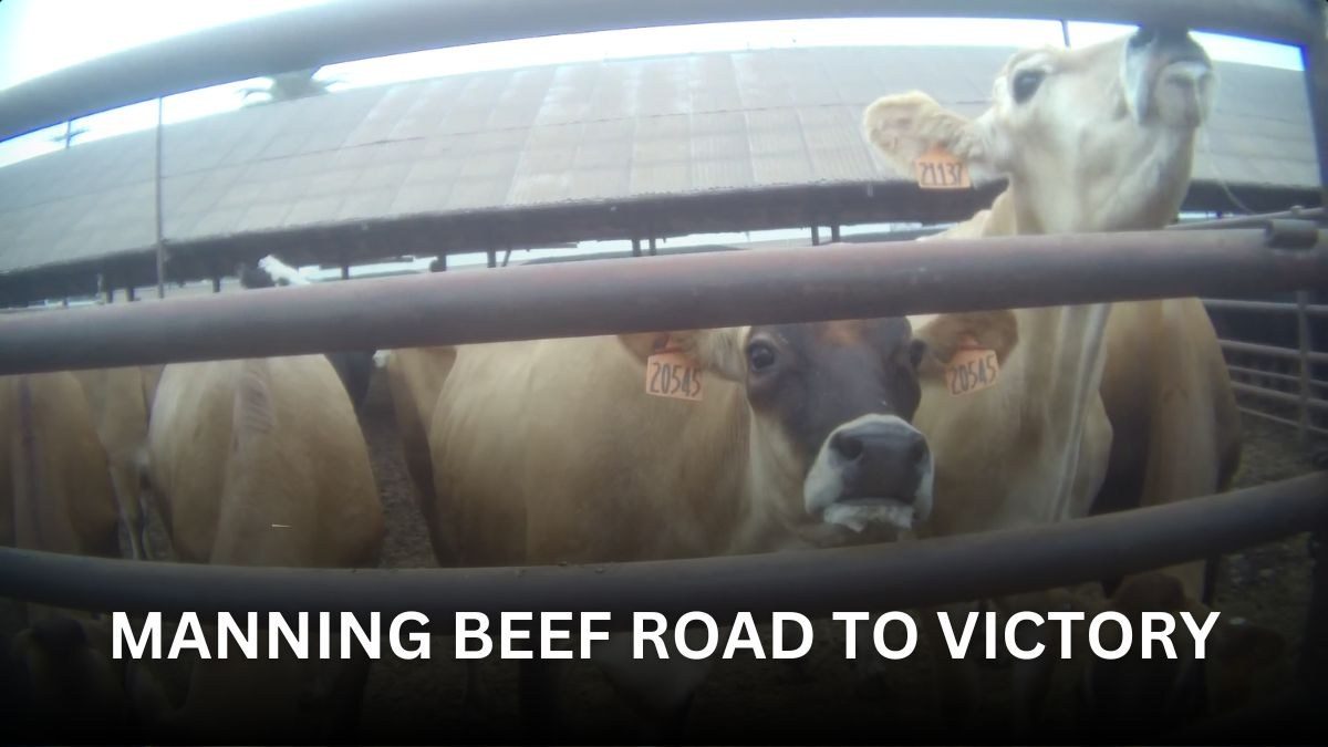 Manning Beef Permanently Closed After Century of Operation