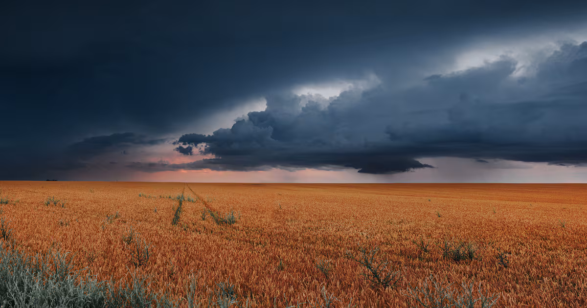 Big Food's regenerative agriculture targets are sliding backward