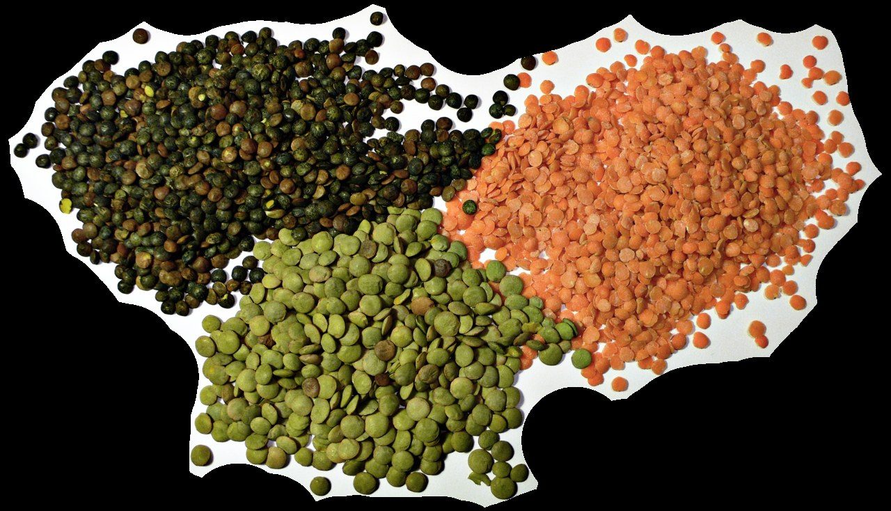 US dietary guidelines could lift food emissions 33%, PNAS study finds