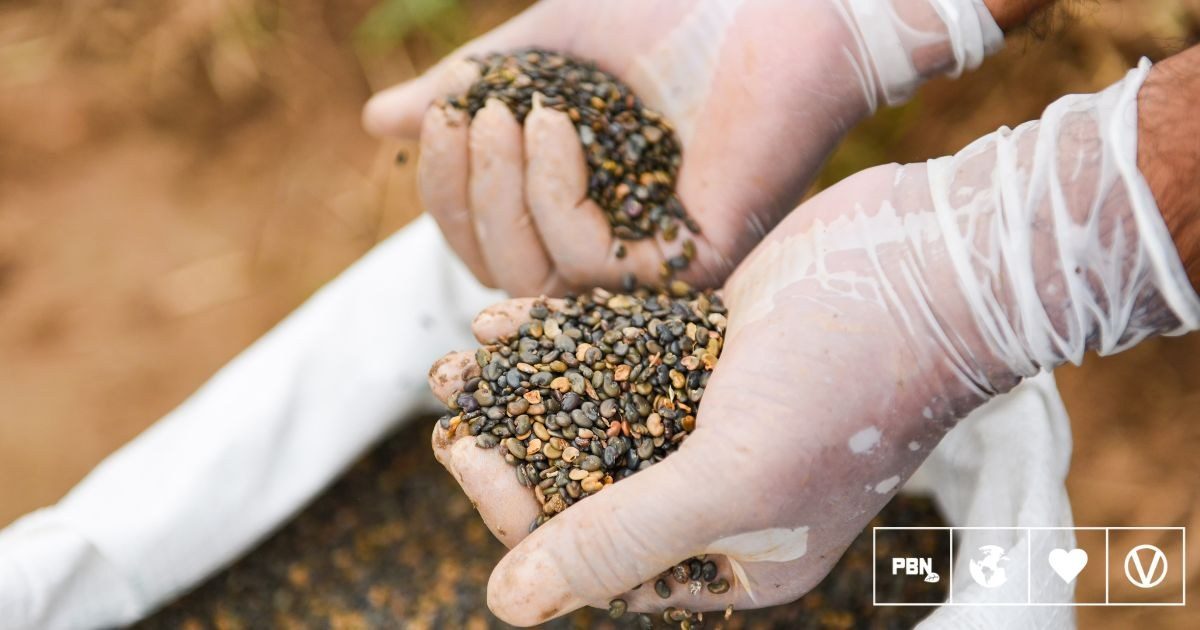 UK Farming Roadmap 2050