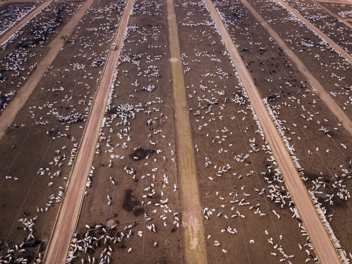 JBS Scraps Its 2040 Net-Zero and Deforestation Pledges