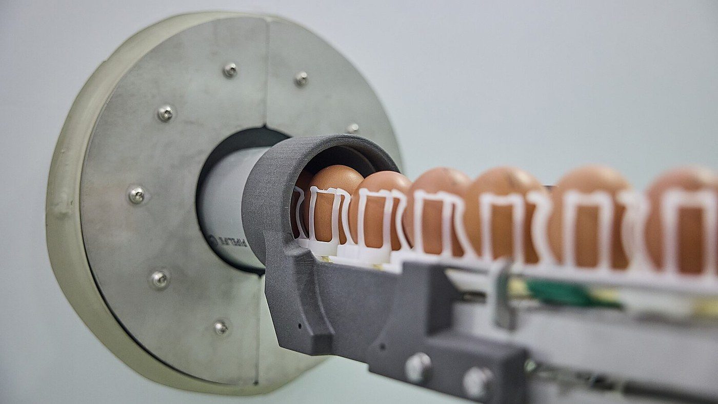 Orbem begins US rollout of MRI egg-sexing tech that ends male chick culling