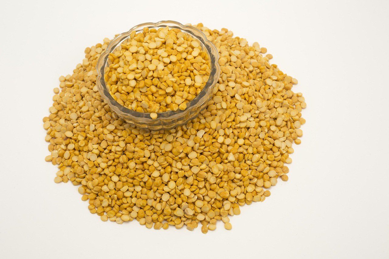 Louis Dreyfus opens first dedicated pea protein isolate plant in Canada