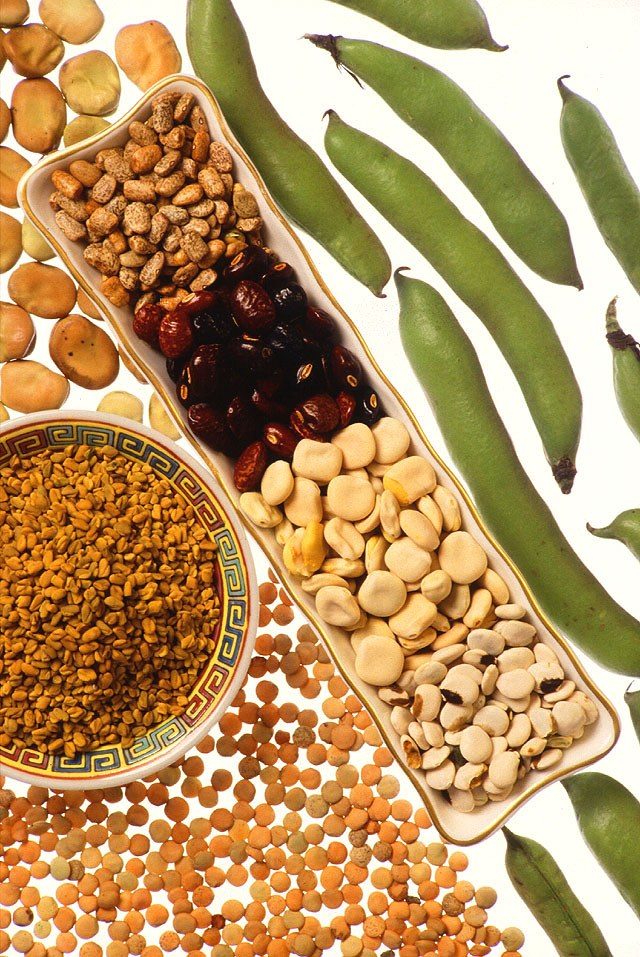 Whole-food plant-based diet cuts LDL cholesterol 17.9% in genetic high-cholesterol trial
