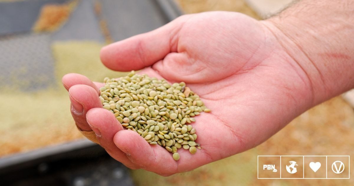 Global shift to plant-rich diets could cut food-system emissions 76%, study finds