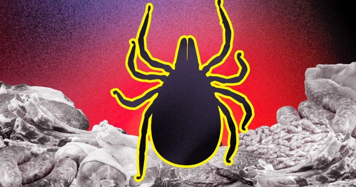 Tick-borne meat allergy pushes Martha's Vineyard restaurants toward vegan menus
