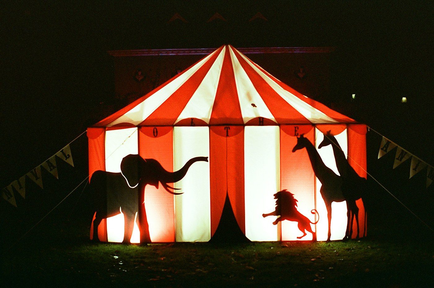 Hungary Bans Wild Animals From Circuses, Closing the EU's Last Loophole