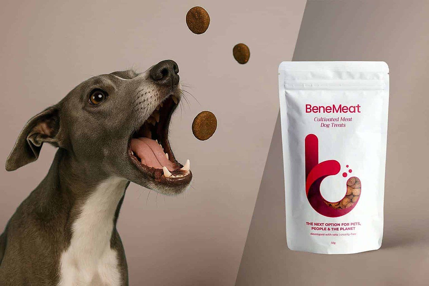 BeneMeat pauses UK cultivated meat plans over Brexit food-rules deal