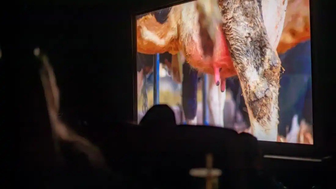 Viva! premieres 'What Do You Really Know About Dairy?' in London