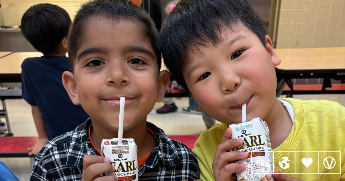 New York City expands school soy milk pilot from five schools to 12