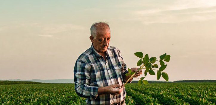 Vegan Society report pitches plant-rich diets as UK food security fix, backed by new poll